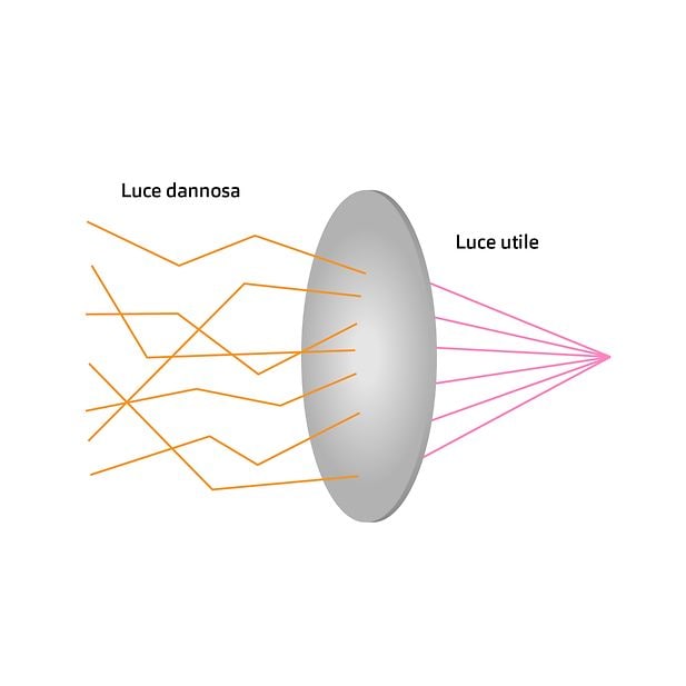 Lenti polarizzate hot sale cosa sono